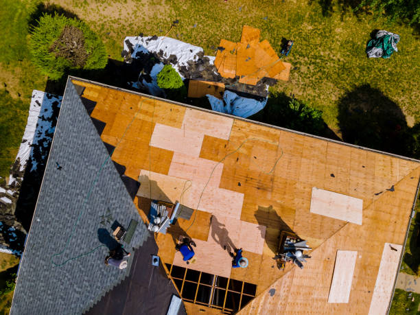 Best Metal Roofing Contractor  in Hawaiian Beaches, HI